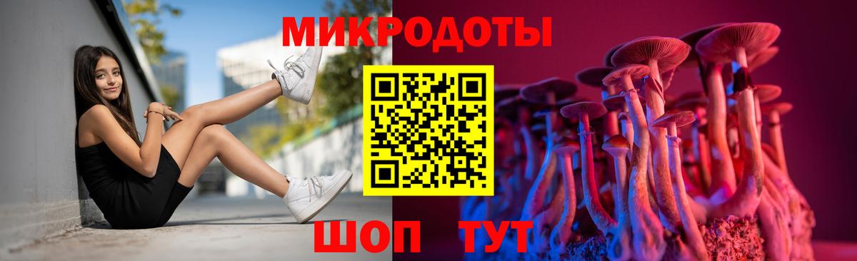 Шадринск  цена   Вход с VPN  Псилоцибиновые грибы GOLDEN TEACHER 